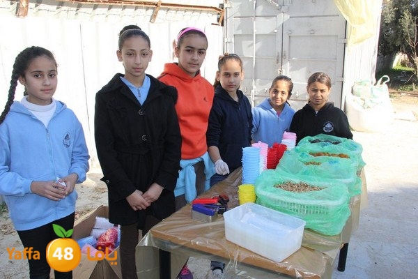 rashidiya 0212 (22).JPG